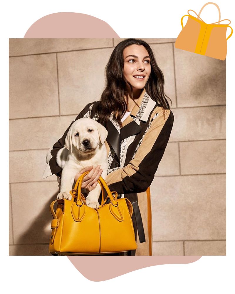 好看又省钱的新包,时尚最新春款包