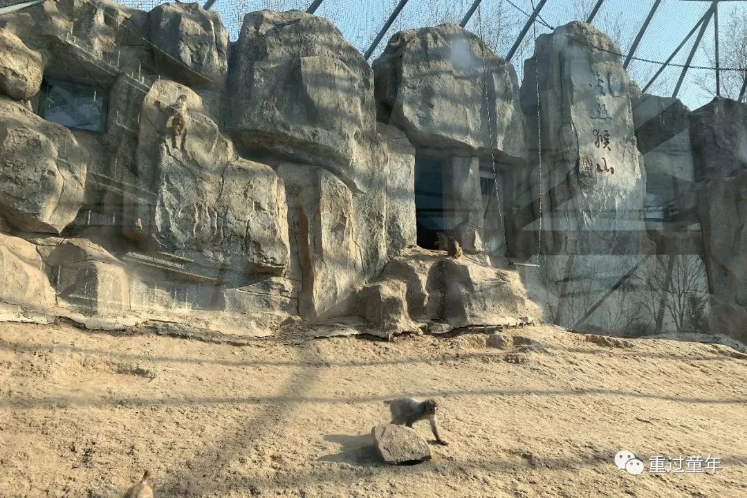 西安一个神奇的公园,西安市最值得去的免费公园景点