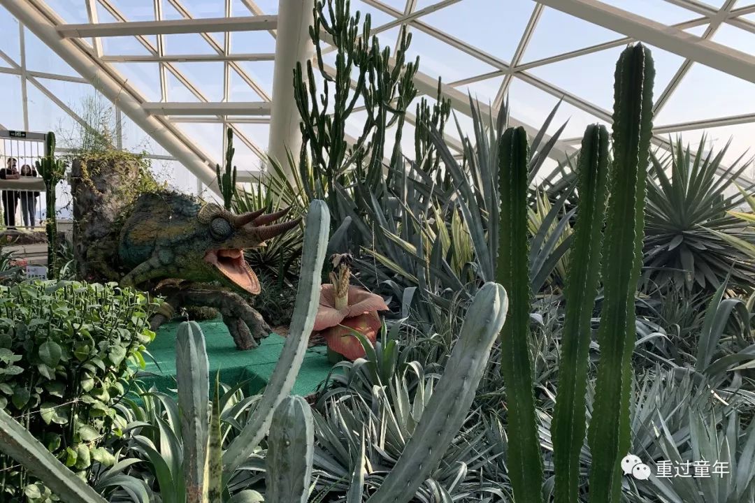 西安一个很有特色的公园,西安唯一要门票的公园