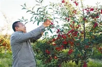 库伦新闻联播,今日通辽市库伦旗头条新闻