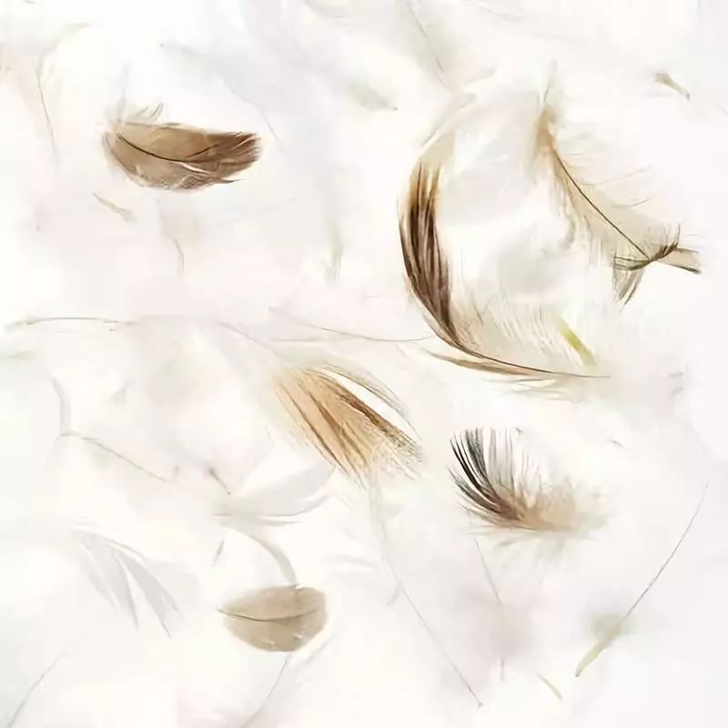 宜家和muji好物推荐,宜家muji值得去吗