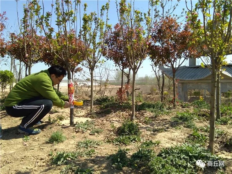 认准了！“懂菜农业”杯第七届黄河故道湿地花海徒步穿越路标已布置完成