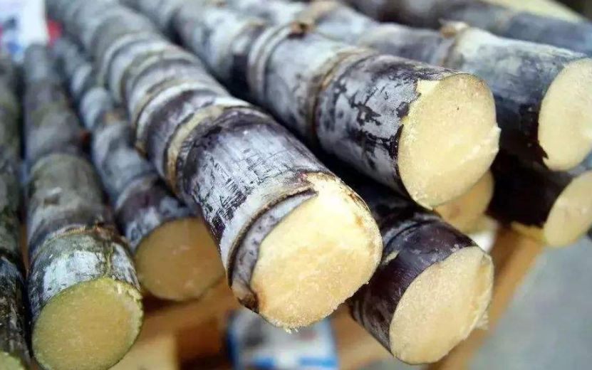 姣旀瘨铔囪繕姣掔殑缇庨,姣旀瘨铔囪繕姣掔殑涓滆タ