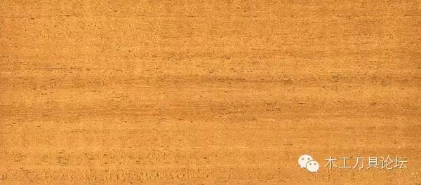 识别木材优劣家居人必备基本功,木材识别基础知识