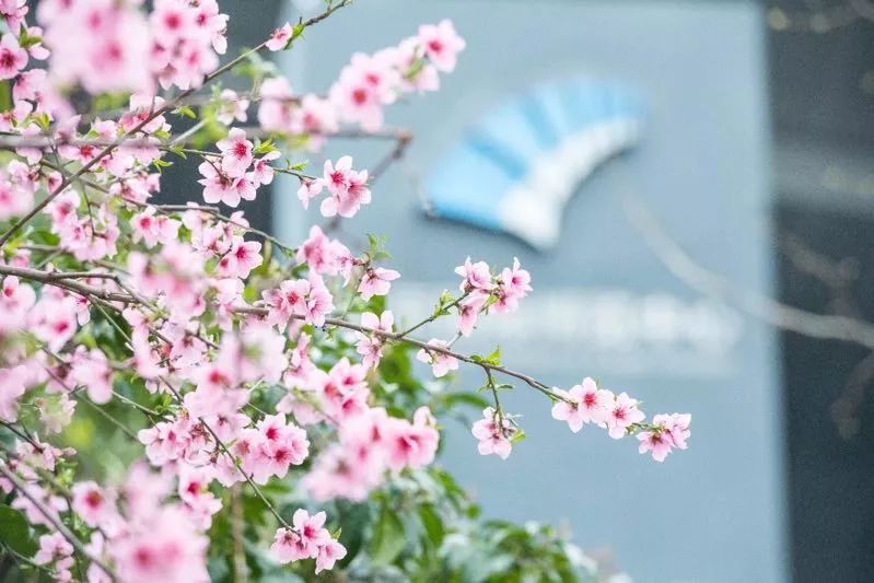 六月份南京有什么展会,南京6月份展会信息