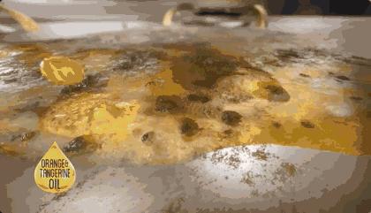 去污“高科技”!焦黑锅底、油垢、霉菌,喷一喷全消失