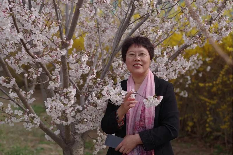 速来!快为你心中的“白衣女神”投一票!(第二组)