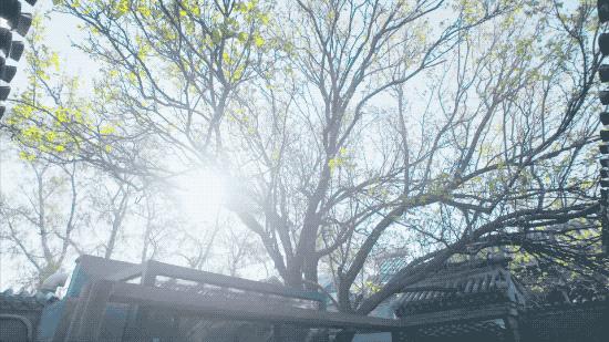 北京姑娘开民宿,北京姑娘开了家胡同民宿