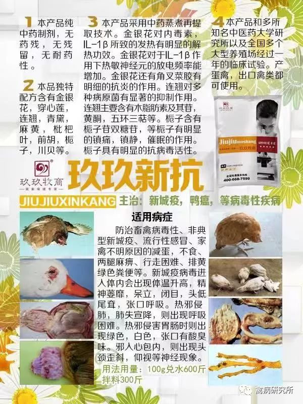 鹅病毒病怎么引起的,鹅副粘病毒病的防治措施