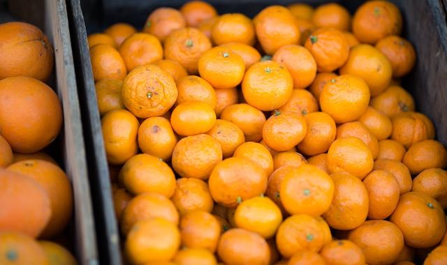 顺丰的零售业务顺丰优选关店撤离上海，未来将专注于华南市场