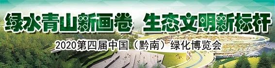 「出行提示」当端午假“撞”上高考！这份出行提示请您收好（内附交通管制路段）