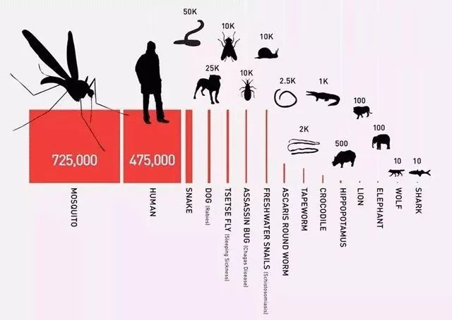 这居然是灭蚊灯？纯物理灭蚊，无毒无味，孕妇孩子都可用