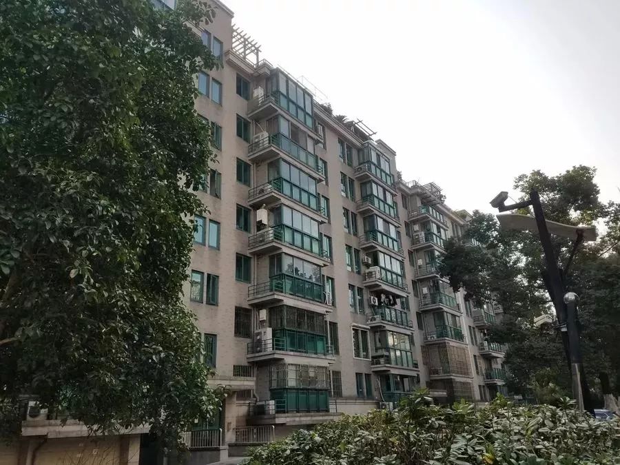 法拍房杭州最高价,杭州法拍房1.15亿二拍