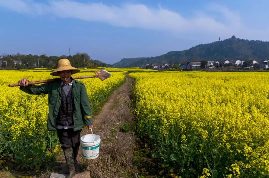 枞阳摄影师,枞阳拍照写真