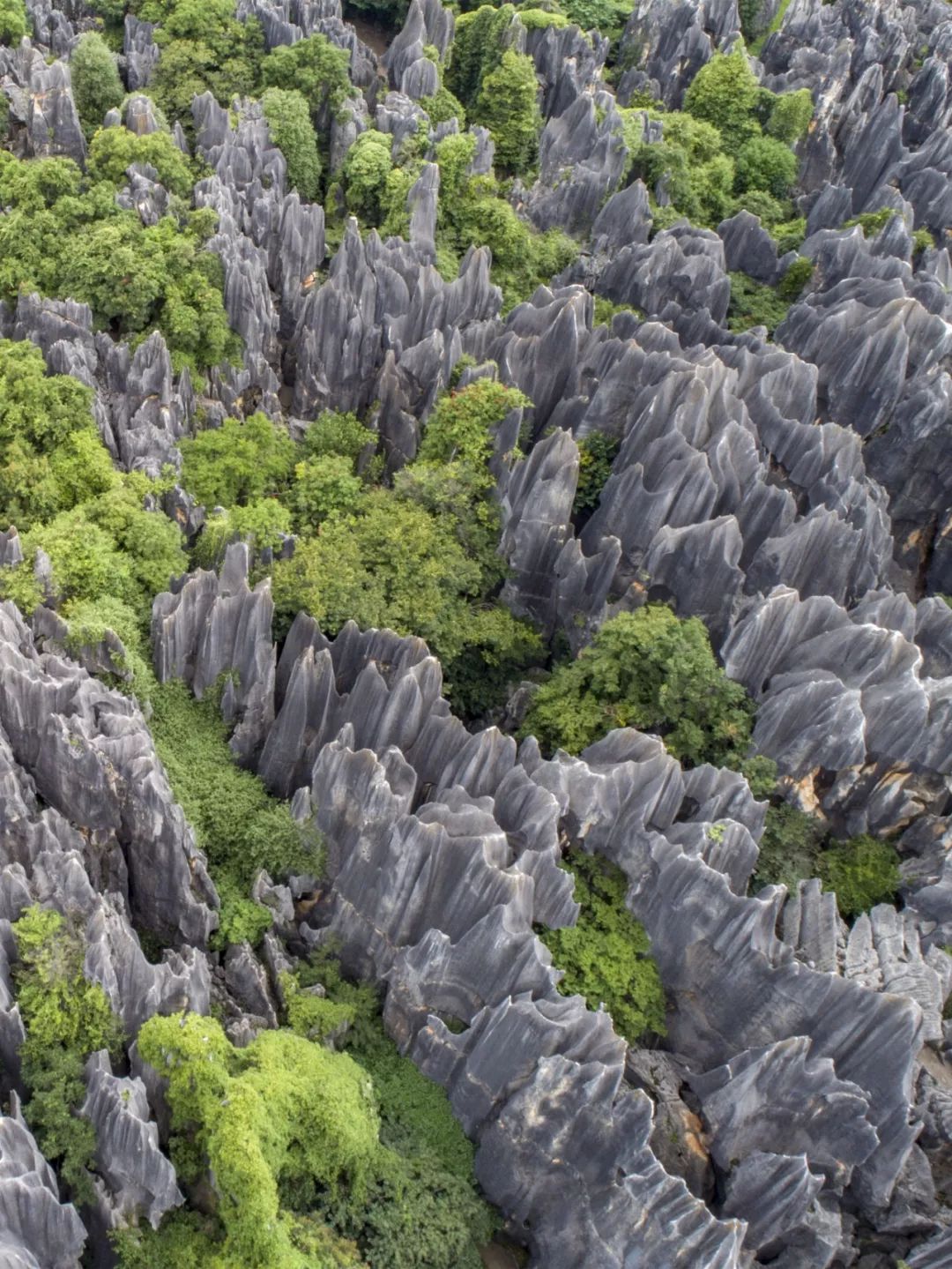 中国南方喀斯特环江,中国南方喀斯特