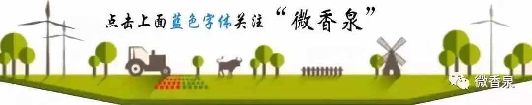 特慢病卡如何申请,合肥办理慢病卡在哪里办