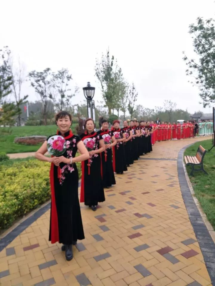 清明节正定赏花游攻略,正定清明踏青好去处