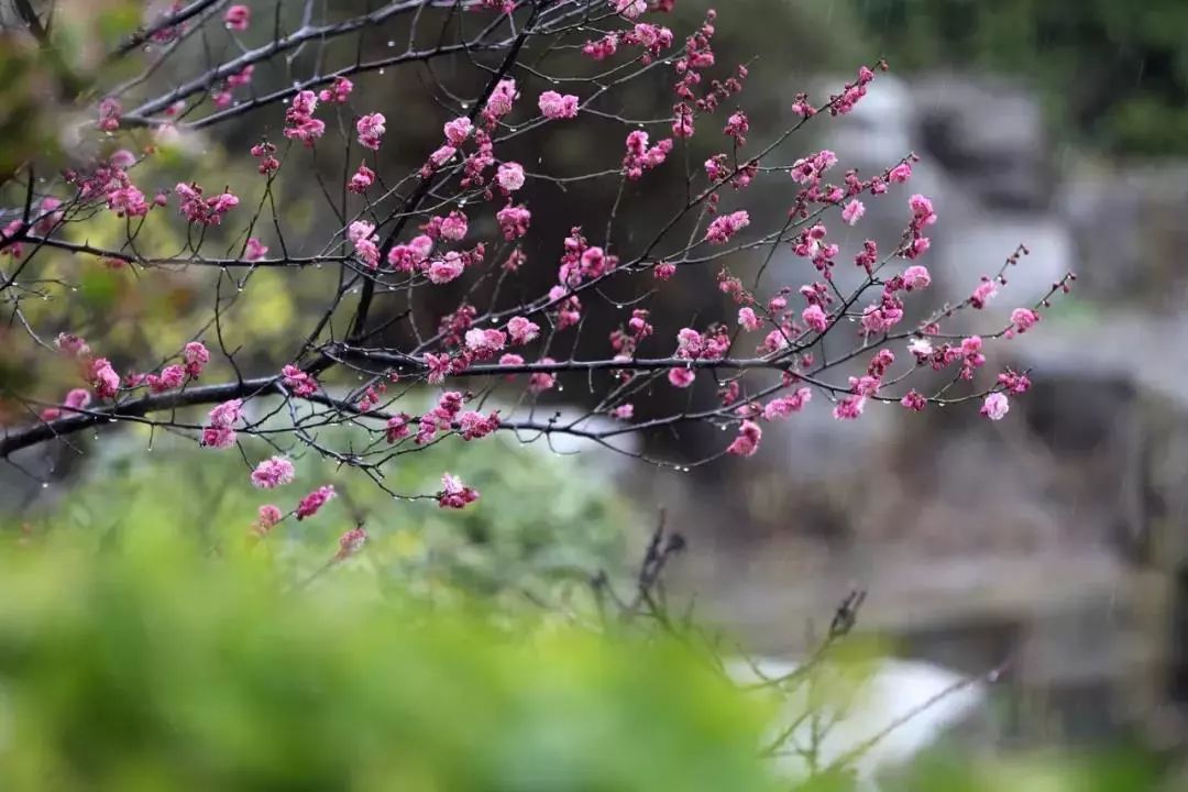 有关清明的山水画,中国风清明水墨画