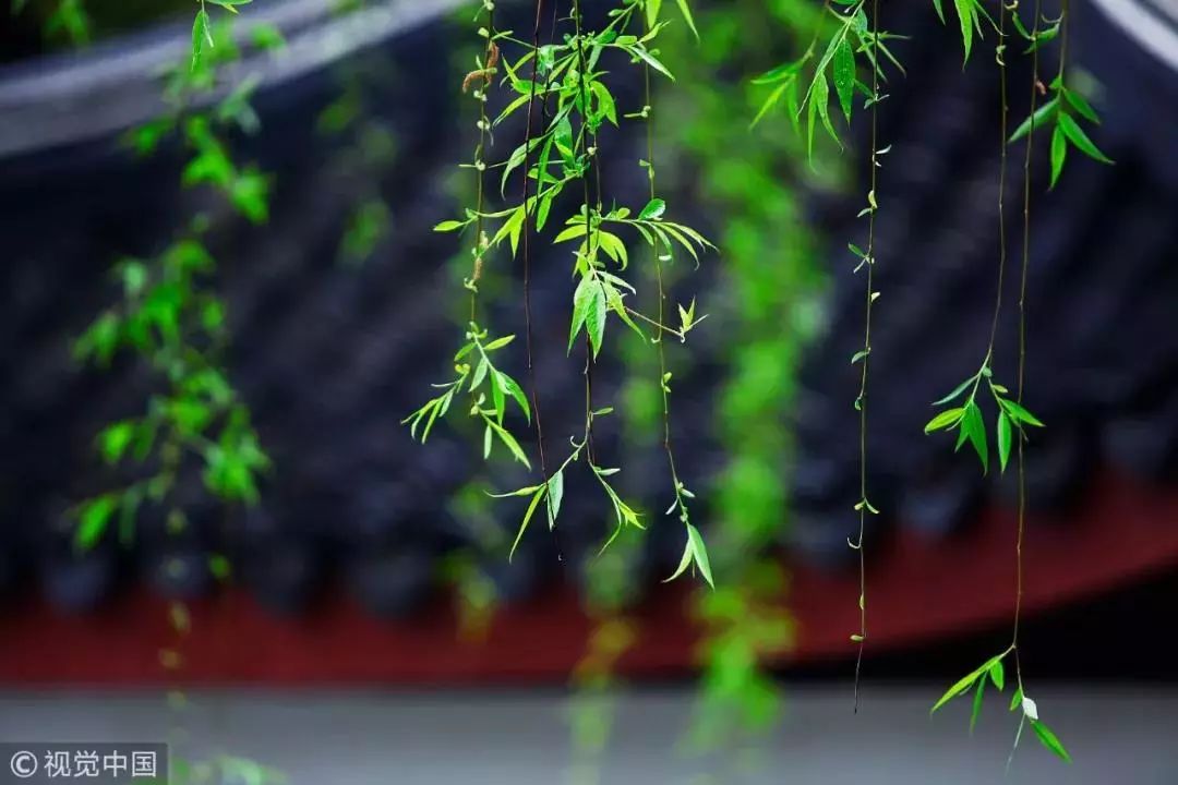 清明水墨画简单,清明谷雨水墨画