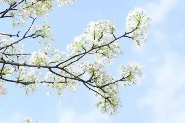 最新通告!清明假期,河北这些地儿不能去,因为……