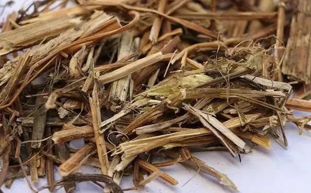 潮阳人上山扫墓讨厌碰到它，可没想到它还有这么多用处...