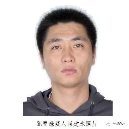 天津黑恶势力通缉15人名单,天津十大涉黑通缉犯