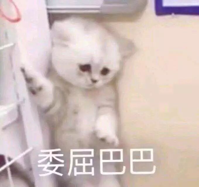 鲁能球迷球票免票,鲁能亚冠川崎球票官方售票