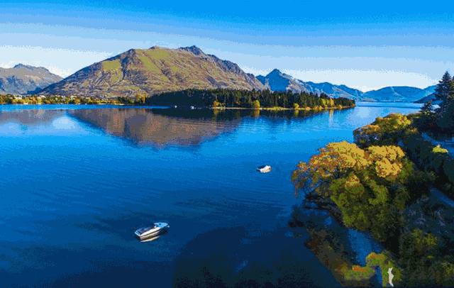 新西兰驱蚊香薰，无烟无火不插电，有它蚊子绕着飞