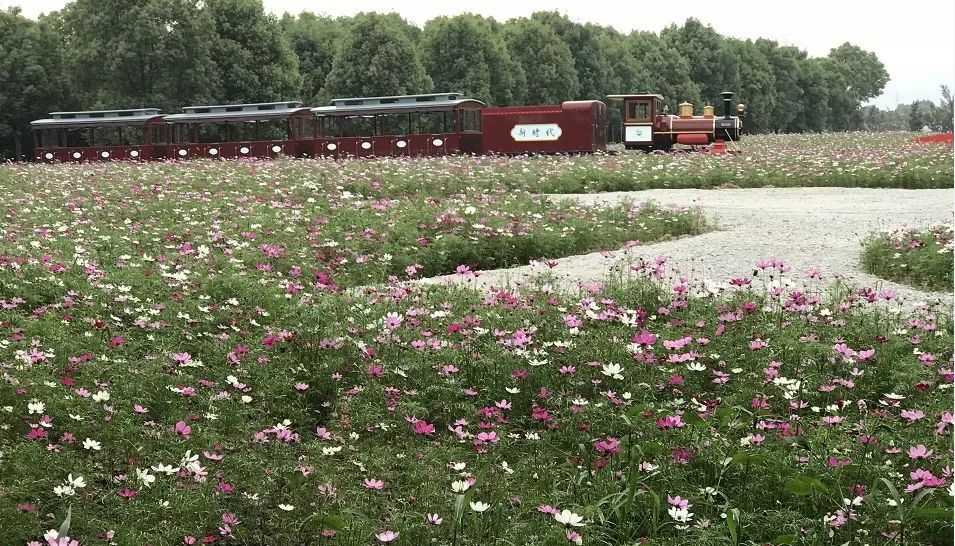 助力家乡发展旅游,助力家乡旅游业发展