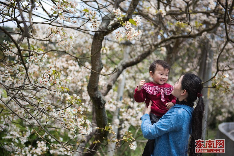4月6日福建天气,福建4月1号至4号的天气