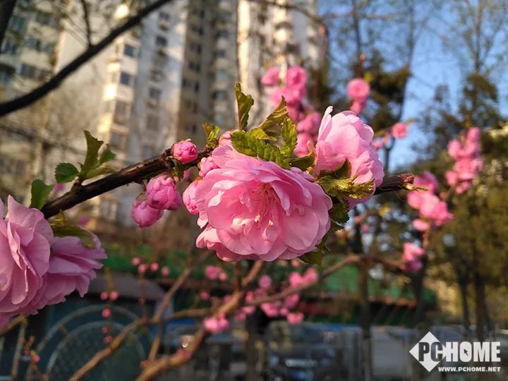 海信金刚5手机,海信金刚5pro评测