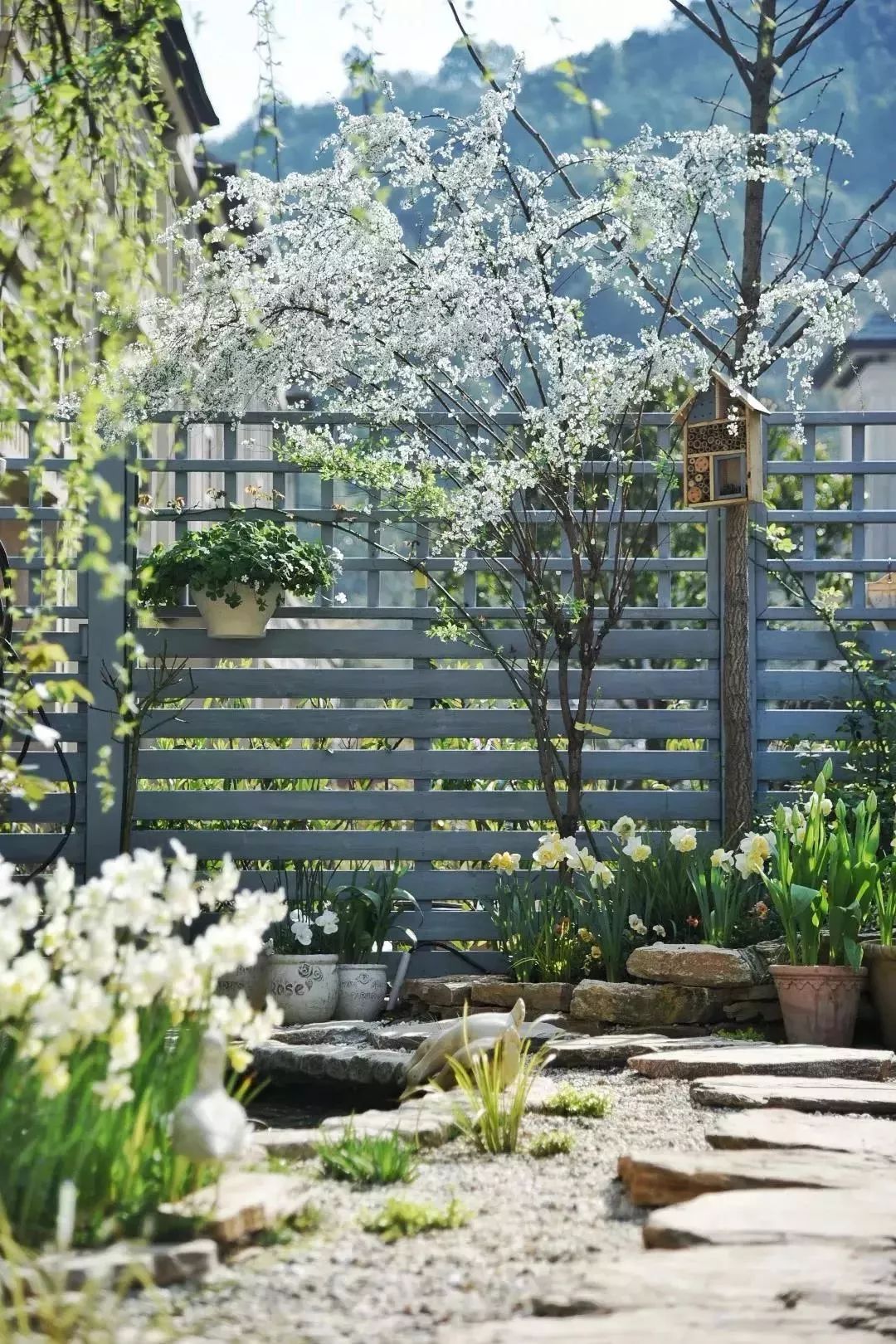 再也不羡慕别人家的果园,再也不用羡慕人家种的花