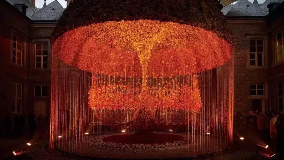 再也不羡慕别人家的果园,再也不用羡慕人家种的花