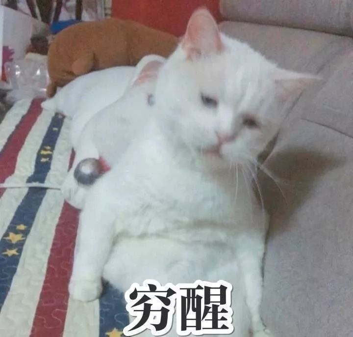 宜家免费住宿,宜家免费住宿设计