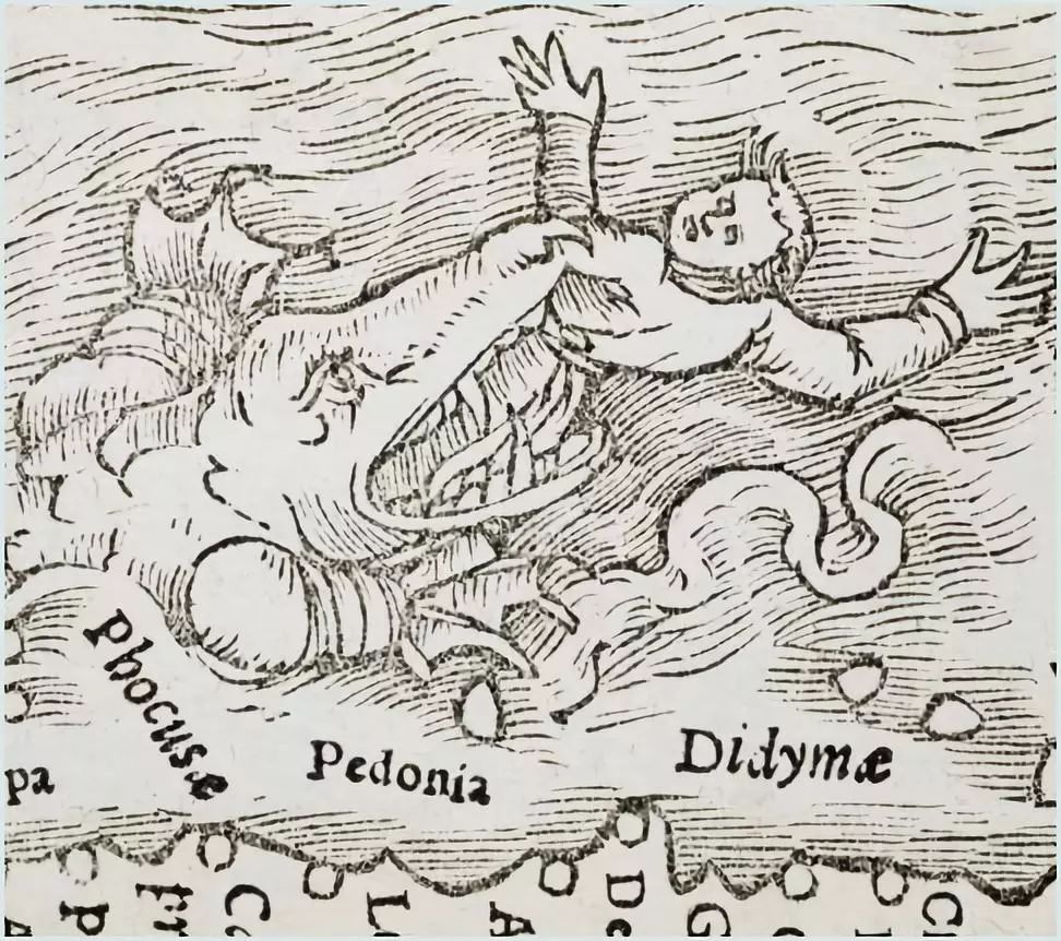 看了一圈中世纪海怪,觉得活在现代真的好好哦!