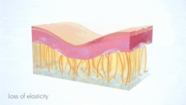 日本“吸油圣斗士”,1天1条,7天瘦出小蛮腰!酸酸甜甜,比果冻还好吃