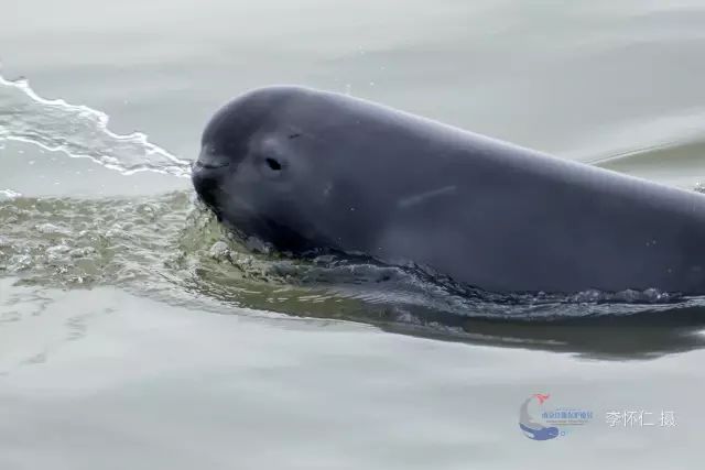 南京是什么气候类型,南京所有颜色