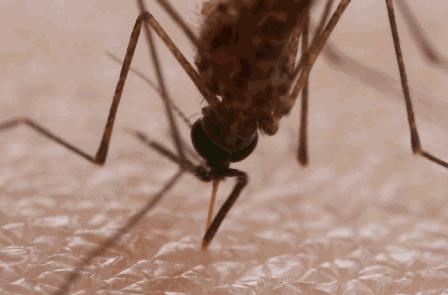 户外溜达一圈回来身上痒怎么办,出门一趟回来浑身痒