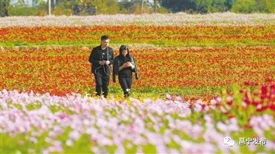 邕宁区生态乡村建设,邕宁可持续发展