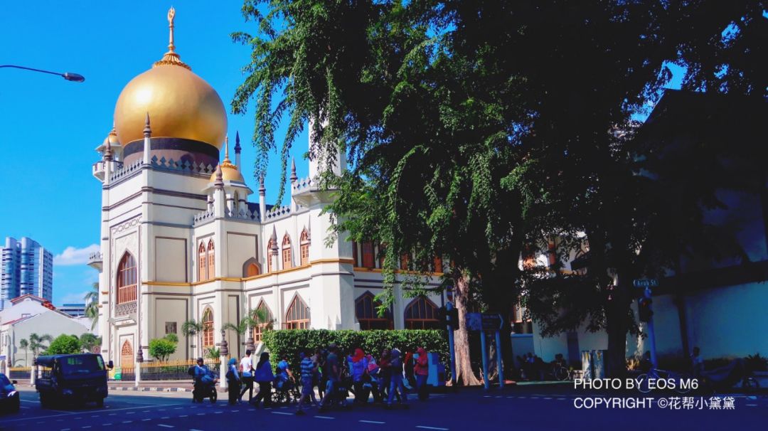 真香原版图片大全,新加坡图文旅游攻略