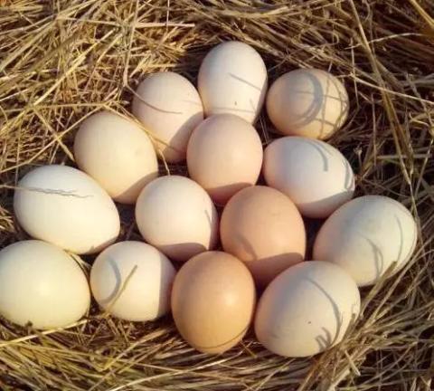 号外号外活动来袭,号外号外活动