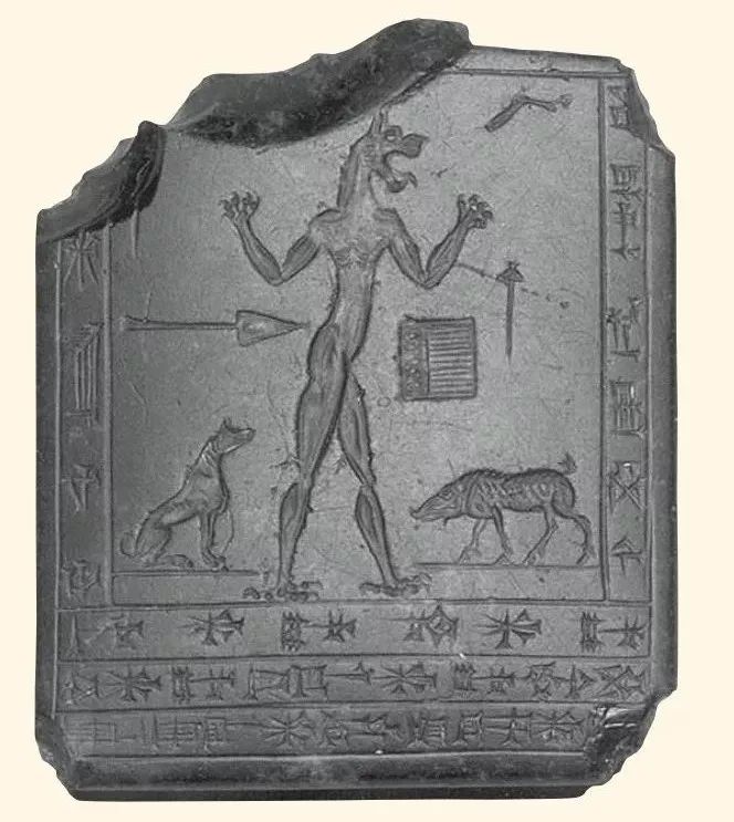 野猪的“世界史”,也是一部《权力的游戏》