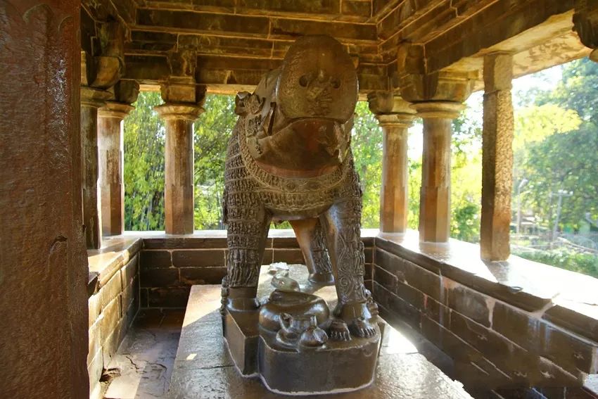 野猪的“世界史”,也是一部《权力的游戏》