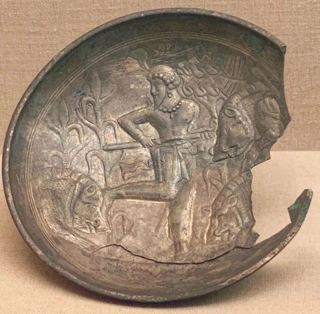 野猪的“世界史”,也是一部《权力的游戏》