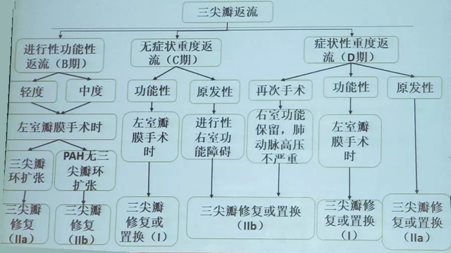 李新立谈心衰治疗方案,李新立教授治疗心衰