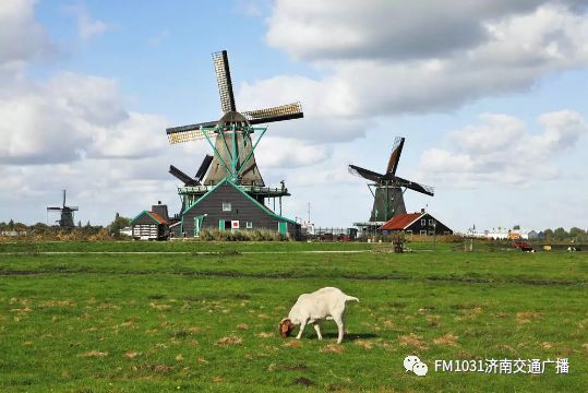 维秘模特的养颜秘方，1天1杯，美白养颜胜燕窝