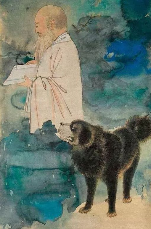 成都冷知识丨最霸气!聊聊养10条松潘狗的资格老成都“铲屎官”张大千