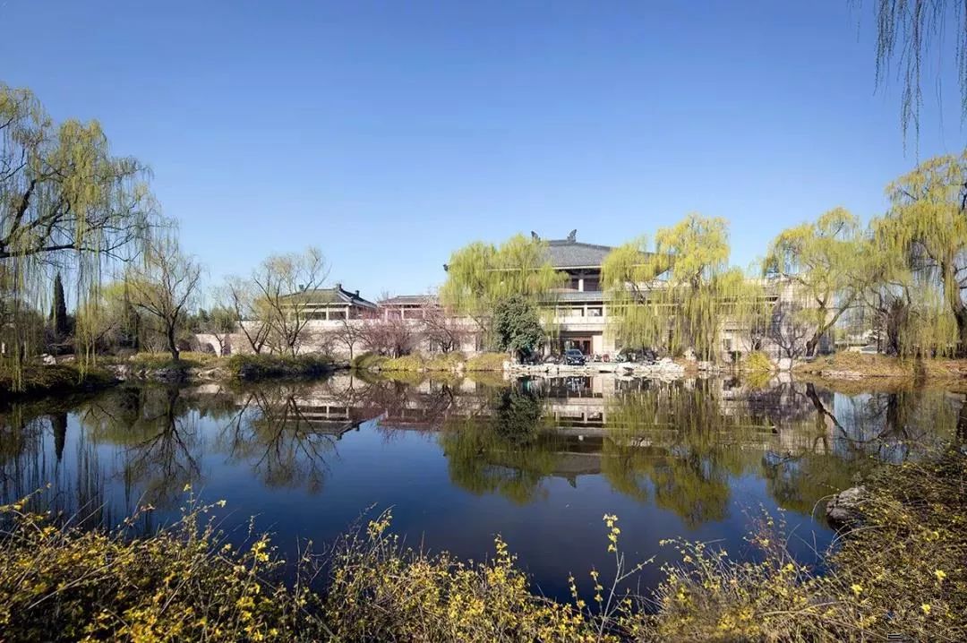 曲阜之行感受儒家文化,曲阜文化之旅感受