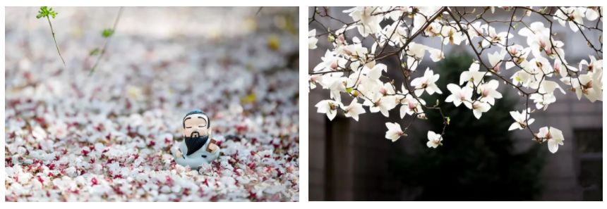 曲阜之行感受儒家文化,曲阜文化之旅感受