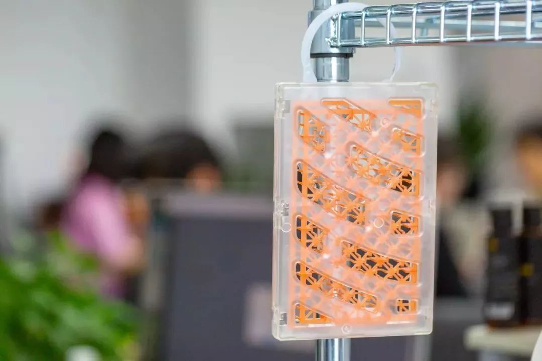 日本蚊帐最新款,日本家庭隐形蚊帐